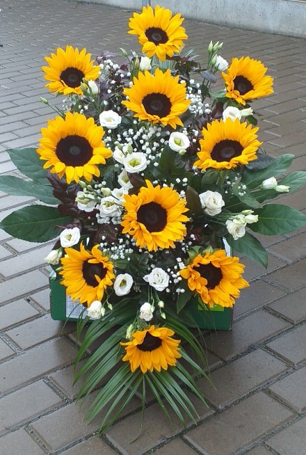 08